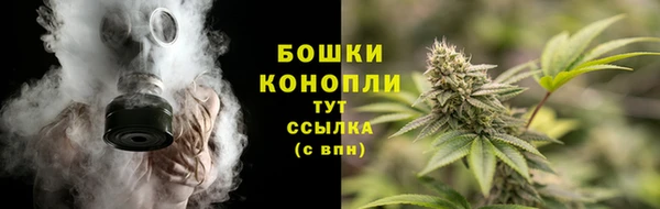 скорость Гатчина