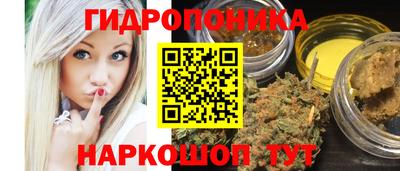 Альфа ПВП Дубна