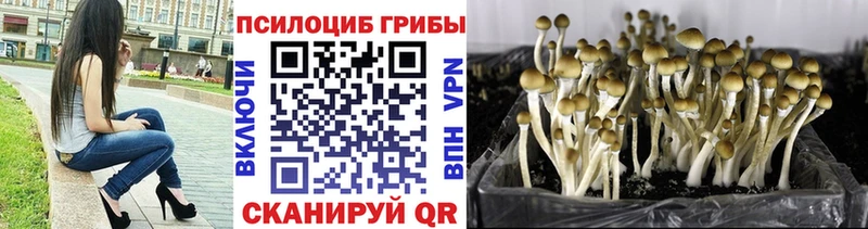 Галлюциногенные грибы ЛСД  где найти   Сертолово 