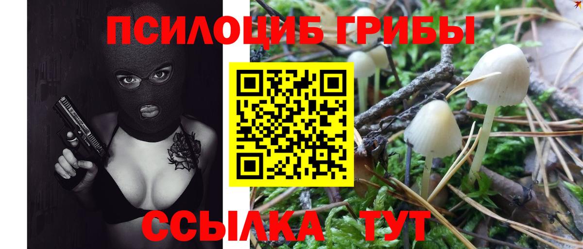 Псилоцибиновые грибы прущие грибы  Сертолово 