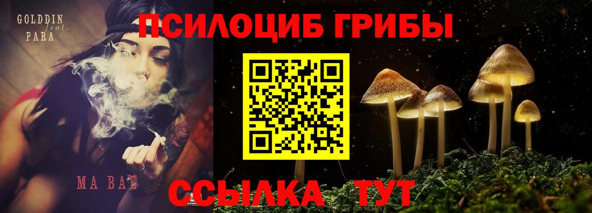 Галлюциногенные грибы мицелий  Вход с VPN  Галлюциногенные грибы ЛСД  Сертолово 