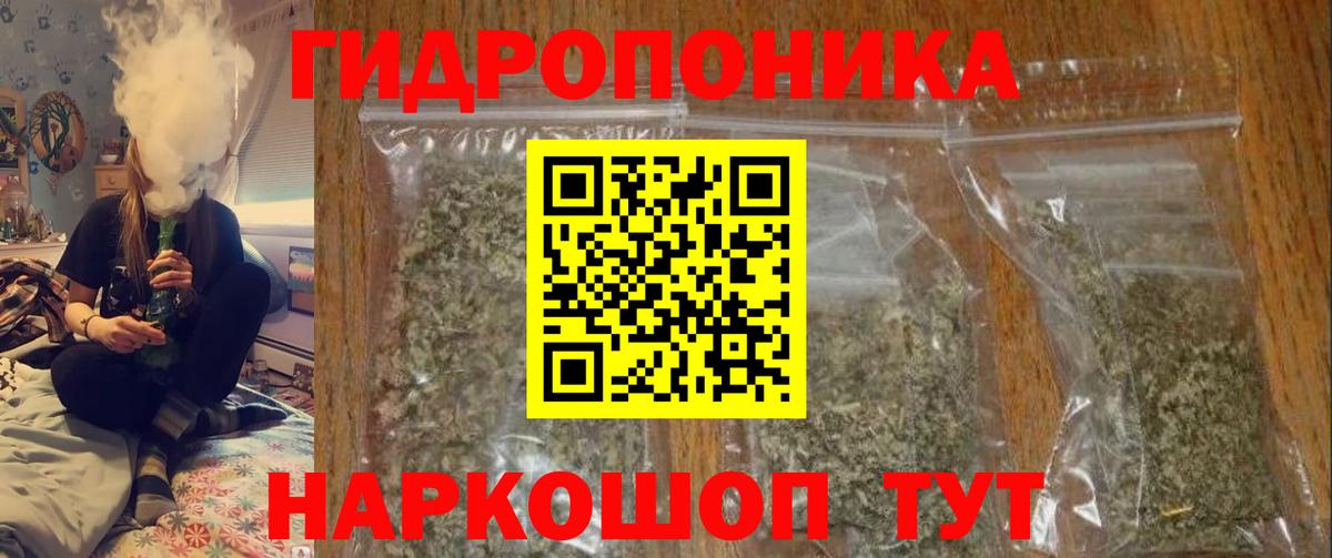 Марихуана OG Kush  Бошки Шишки планчик  Сертолово  Бошки марихуана сатива  Вход с VPN  Каннабис Amnesia 